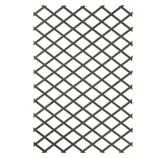 Nature Garden Trellis 100 x 200 cm Wood Green