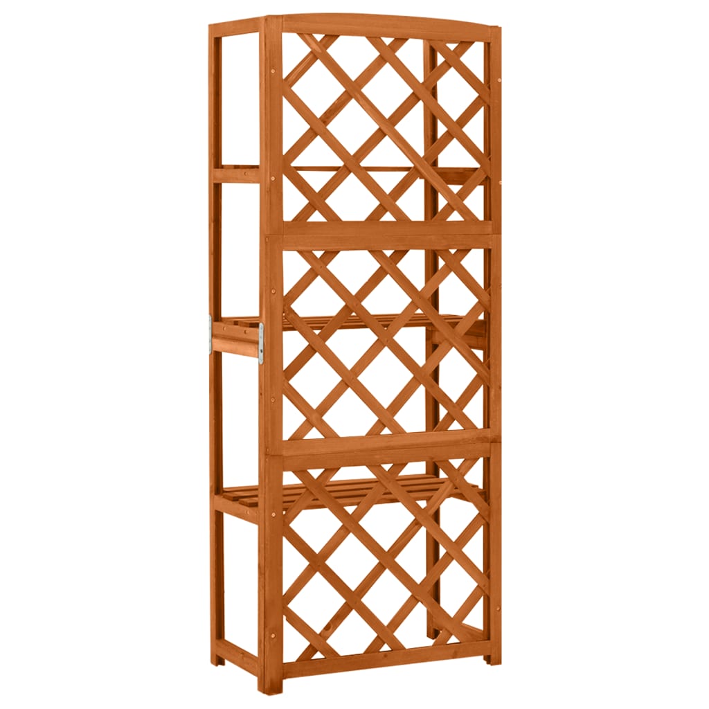 Trellis with Shelves 55 x 30 x 140 cm Solid Fir Wood